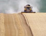 Servicii de formare profesionalã în domeniul planificãrii strategice necesare implementãrii proiectului Planificare strategicã pentru administrația agricolã. 