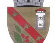 Servicii de elaborare a Strategiei de Dezvoltare a Comunei Cornu 